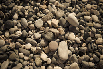 Background of natural pebble on a sea coast. Selective focus. To