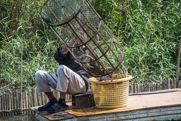 fisherman use fish trap,Thailand