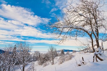 winter  day Christmas  landscape