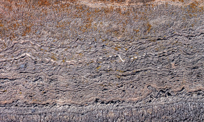 Stone texture background