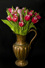 tulips