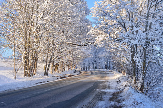 Winter highway on a sunny day with snowy trees at sunset