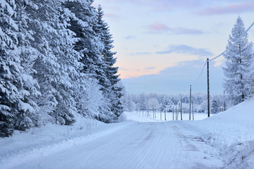 Rural winter road through a pine forest with snowcovered power lines © Alex Stemmer