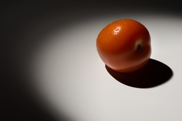 Pomidor spotlight