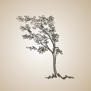 Sketched tree in the wind. hand drawn illustration