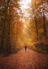 Wanderer