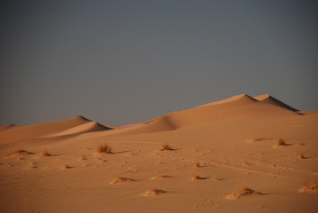Fototapeta na wymiar Dark Dunes