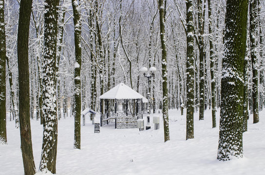 Fototapeta gazebo in a wooded area a snowy winter in calm weather