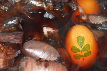 Coloring Easter eggs with onion peel