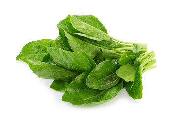 kale leaves on white background