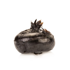 Ground chesnut on white background