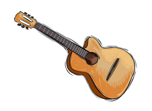 Vector illustration of a instrument guitar drawing