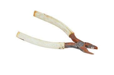 Old wire cutter