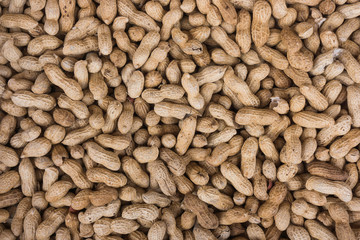 groundnut background