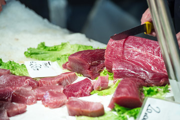 fisherman for bluefin tuna