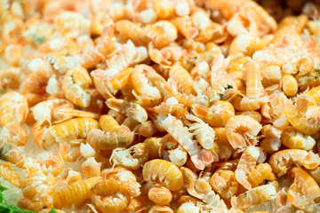 A lot of shrimps in the market