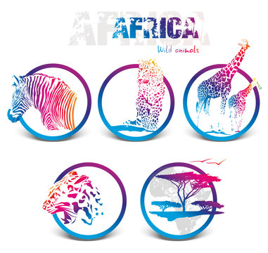 Colorful icon of africa animals
