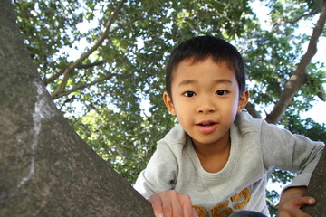 木登りする幼児(6歳児)