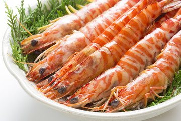 茹で上がった車海老