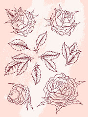 Vector set of roses and leaves. Burgundy contour.
