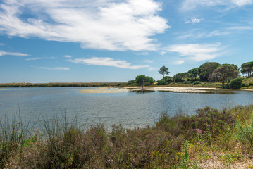 Obraz na płótnie Canvas Quinta do Lago landscape, in Algarve, Portugal