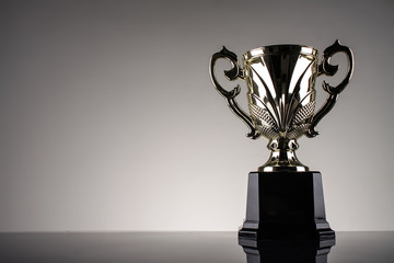 winning trophy championship award