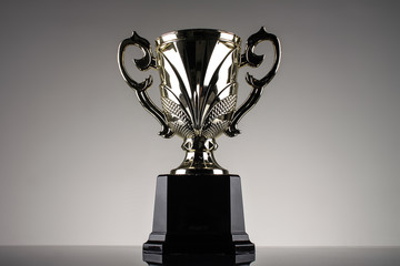 winning trophy championship award