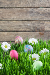 Fototapeta premium Easter Background with Eggs and Flowers