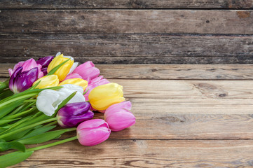 Fototapeta na wymiar Lovely tulip flowers