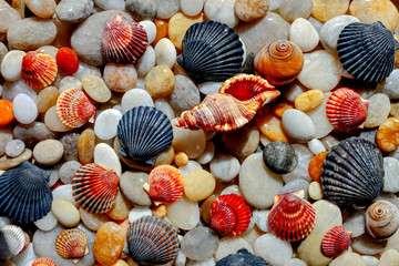 abstract pattern of sea pebbles