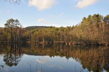 Fototapeta na wymiar spring in a lake