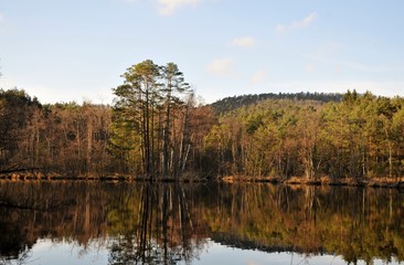 spring time and lake