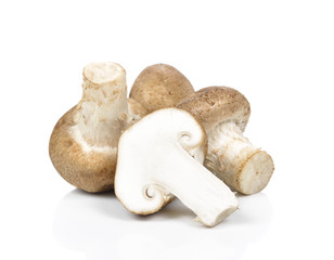 Shiitake mushroom on the White background