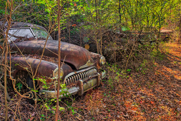Rusty, old, junked car in the woods