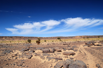 Fototapeta na wymiar Cloudy Sky in the Desert
