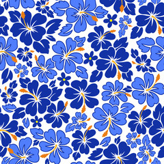 ハイビスカスのパターン