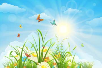 Summer and spring landscape, meadow with flowers, blue sky and butterflies