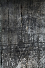 the texture of wood outdoor for background or design