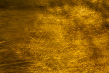 the texture outdoor of yellow colors for background