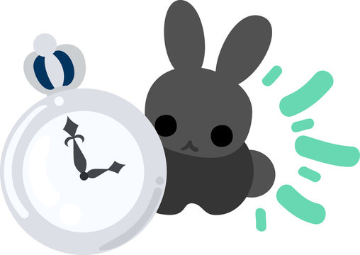 A rabbit and a watch