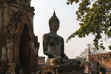 Obraz premium buddha Statue 