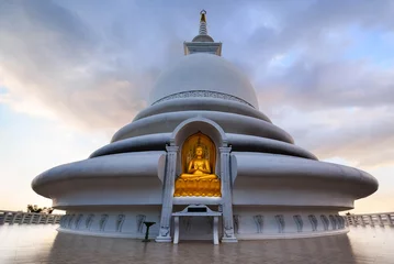 Foto op Aluminium Japanese Peace Pagoda In Rumassala, Sri Lanka © Saman Weeratunga