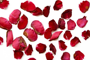 Dried red rose petals on white.