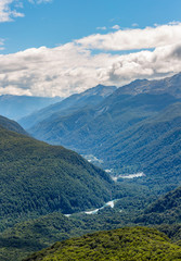 Obraz premium Aerial view over the forest