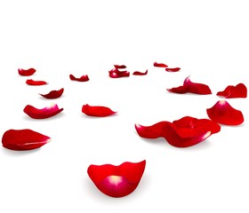 Fototapeta premium Red rose petals scattered on the floor