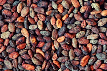 Fotobehang pattern of the cocoa bean © whitestorm
