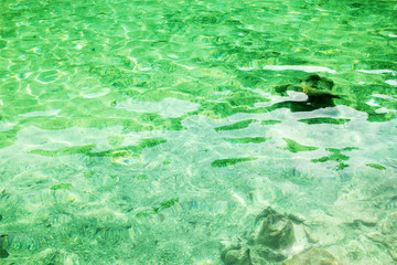 Emerald Pool. Krabi, Thailand
