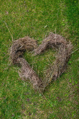 Natural love