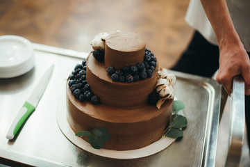 chocolate cake with blueberries and cotton