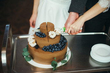 chocolate cake with blueberries and cotton